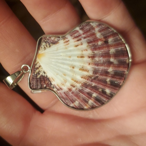 New Silver Wrapped Natural Seashell Scallop Shell Pendant. - Picture 5 of 7